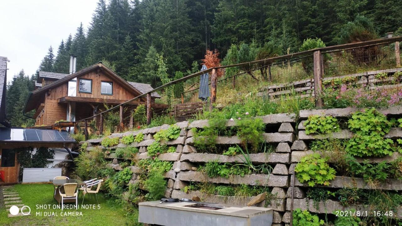 Chalet Steiermark Pusterwald Bagian luar foto